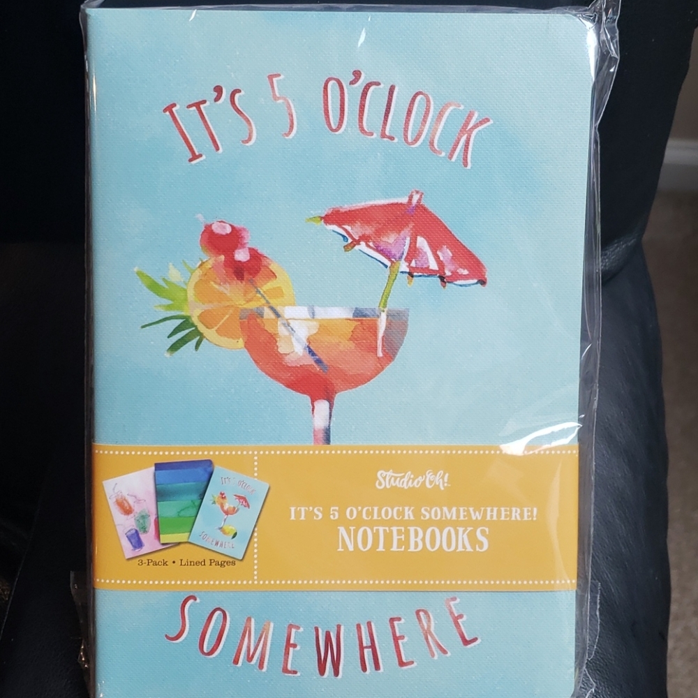 (2) 80 page notebook set